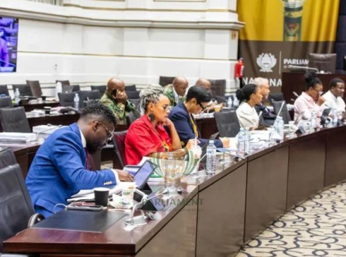 MPs clash over security demands as O’Sullivan and Mogotsi face Parliament
